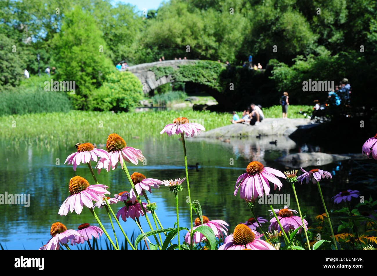 Beautiful view Central Park, New York Stock Photo Alamy
