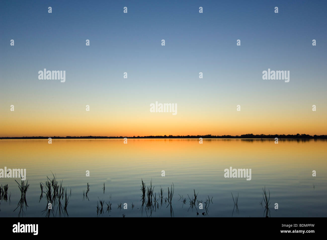 Lake Cargellico at sunrise, New South Wales, Australia Stock Photo