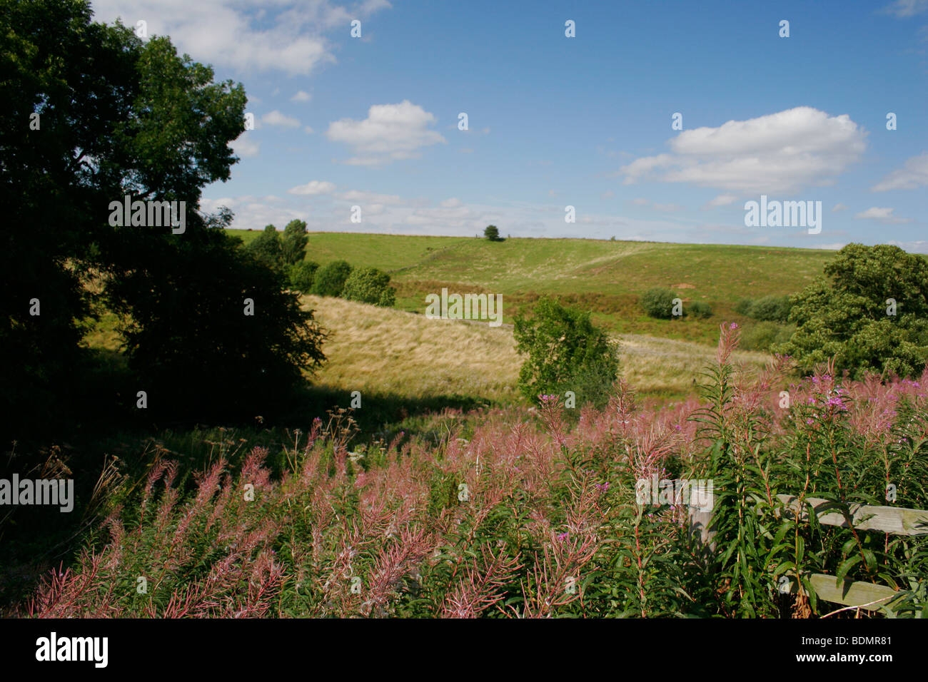 Snipe Dales Nature Reserve in Lincolnshire, England, UK Stock Photo - Alamy