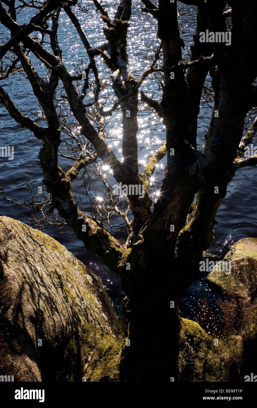 Wicklow Mountains Cairn/Cym on a glorious spring day. 18 March 2009. Stock Photo