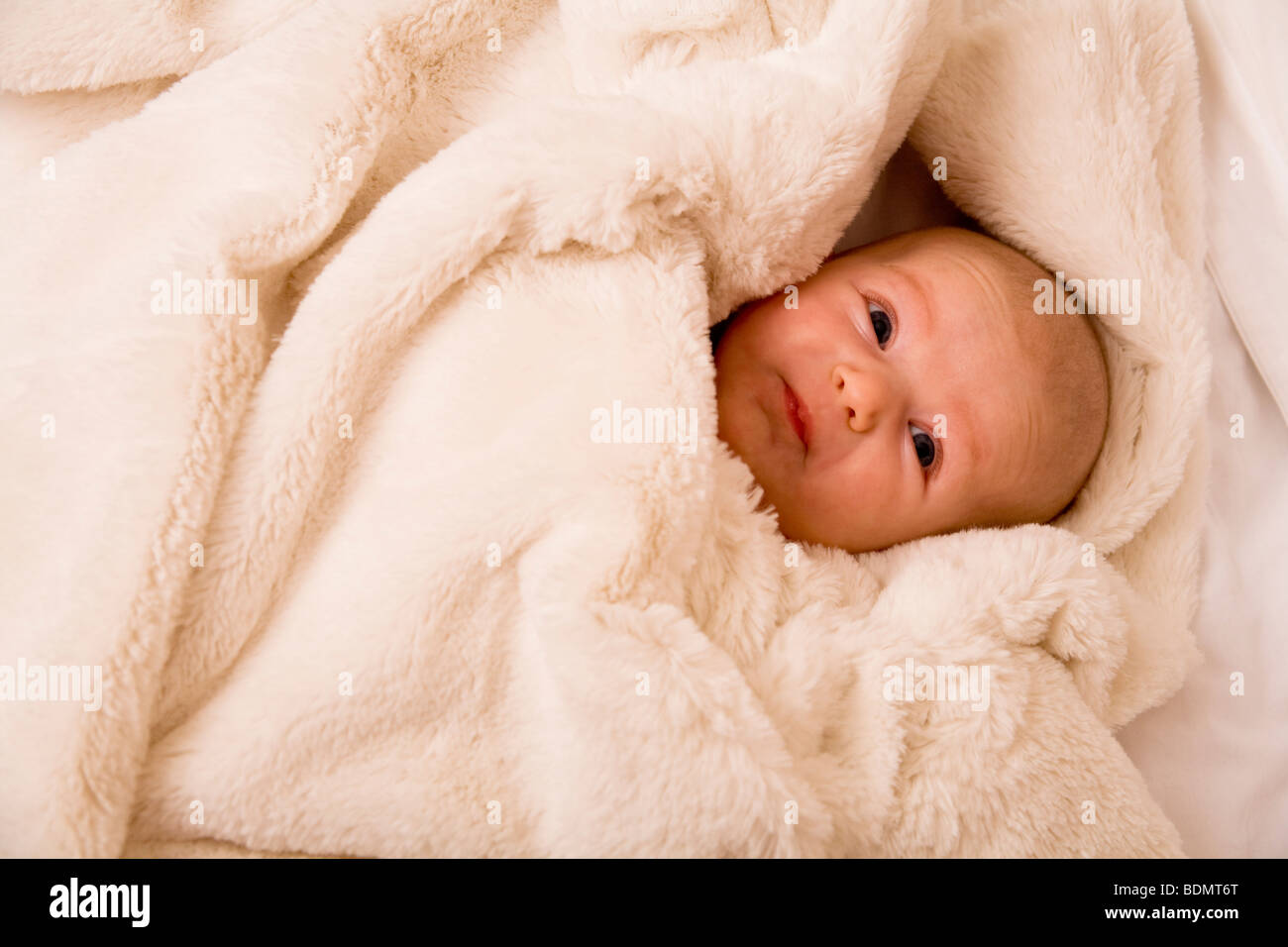 A two month old baby girl is wrapped up in a fluffy blanket Stock Photo Alamy