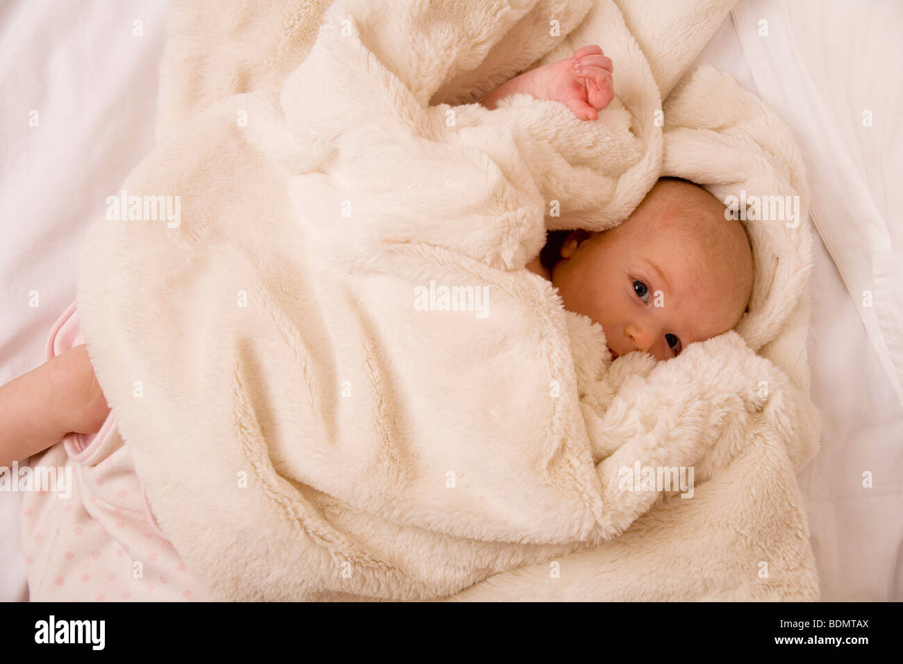 A two month old baby girl is wrapped up in a fluffy blanket Stock Photo Alamy