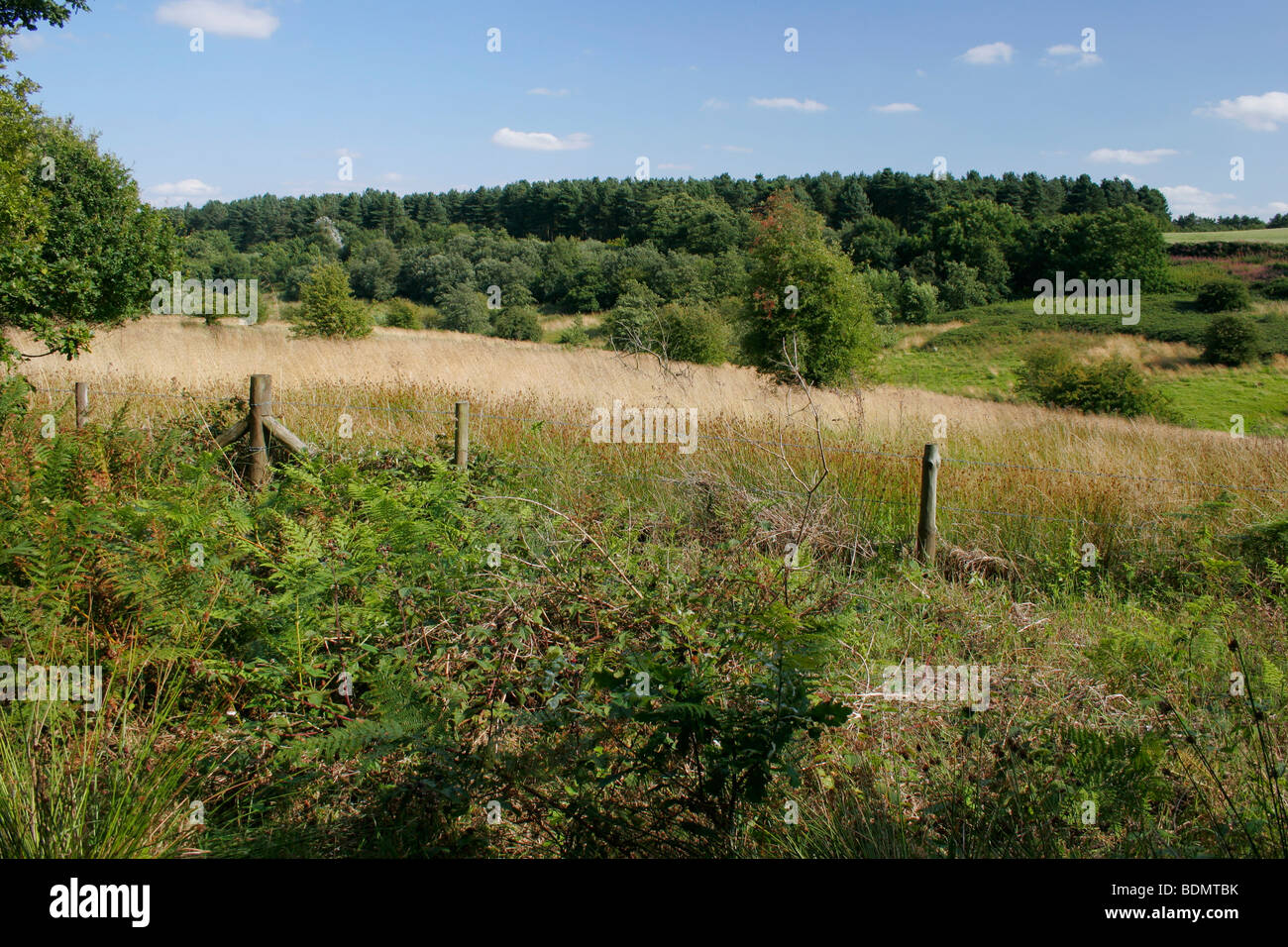 Snipe Dales Nature Reserve in Lincolnshire, England, UK Stock Photo - Alamy