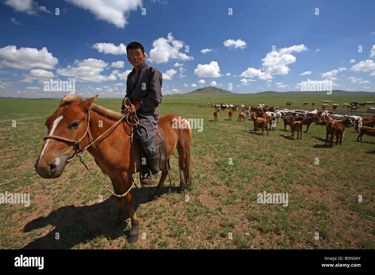 Portrait of a nomadic mongol horseman with his horse, Mongolia Stock Photo