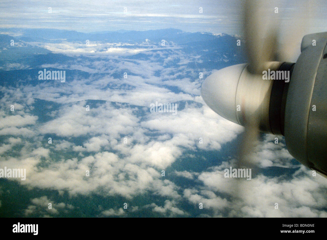indonesia, irian jaya, fly Stock Photo