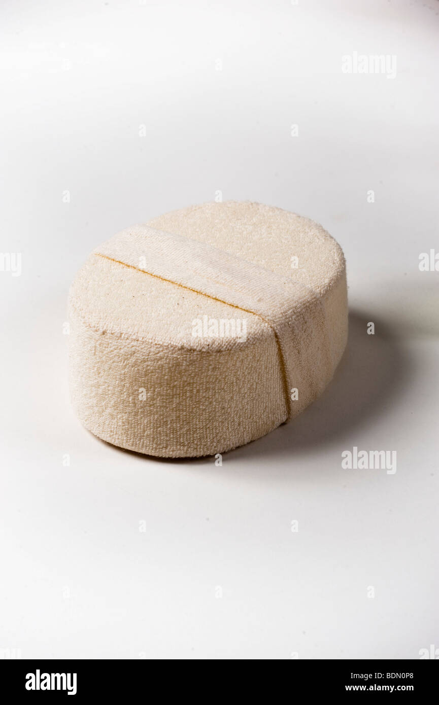 Cutout of ruff sponge used as a massage aiding tool Stock Photo