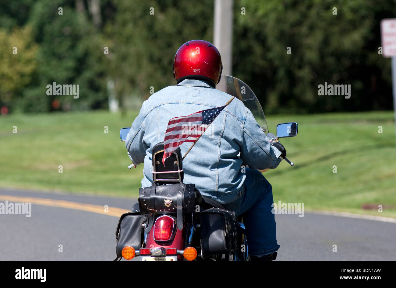 motorbike sissy bar