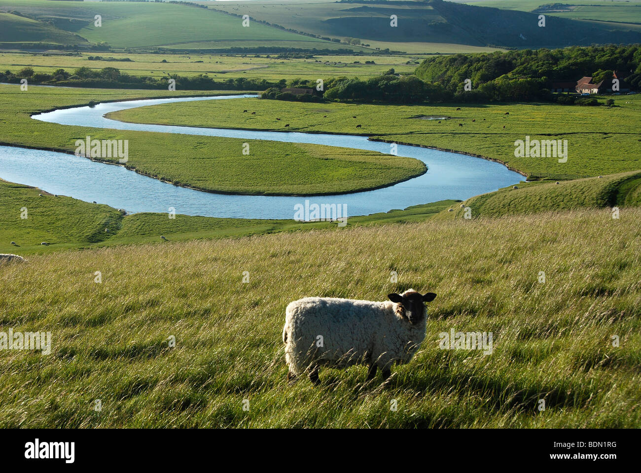 Seven Sisters Country Park, Cuckmere Haven, Sussex, England, UK Stock Photo