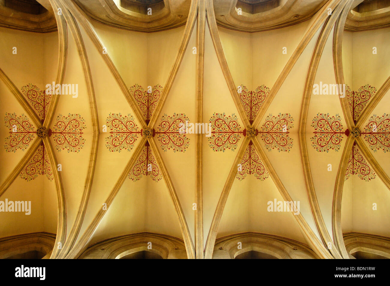 Ceiling arches of the Gothic Cathedral of St. Andrew's, Wells, England, UK Stock Photo