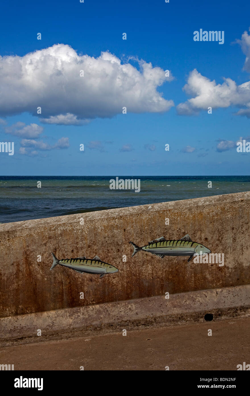 Sea wall Stock Photo