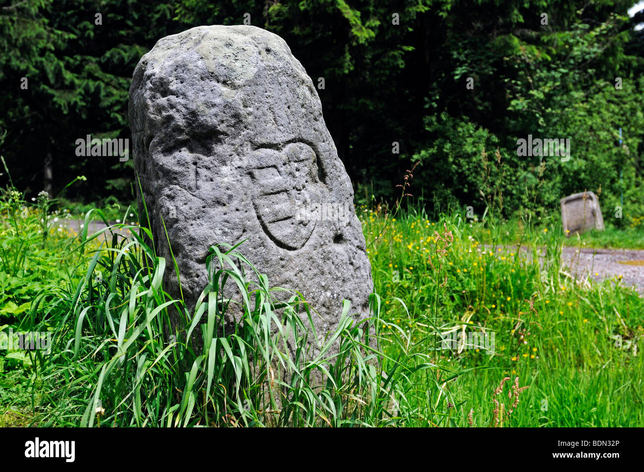 Grosser Dreiherrenstein, historic border stone on the border of three principalities, Rennsteig, Thuringian Forest, Thuringia,  Stock Photo
