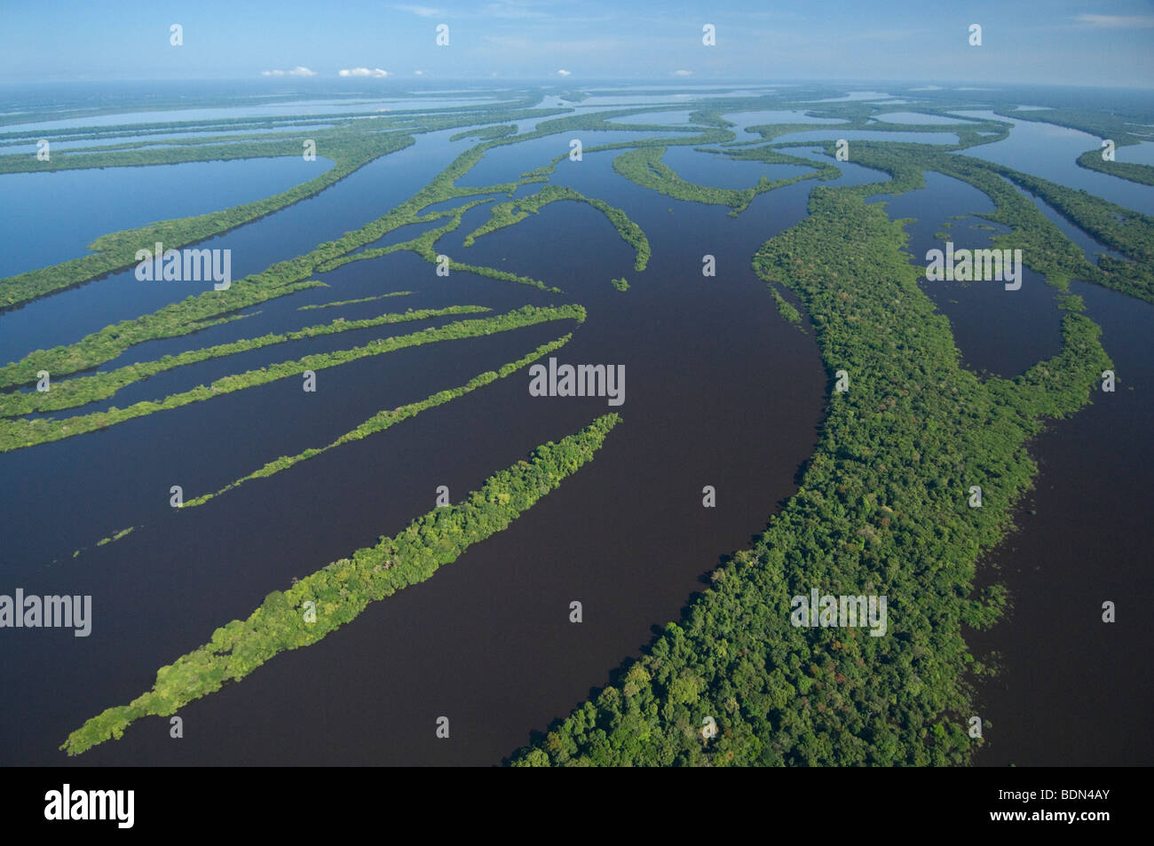 Flooded forest, Anavilhanas Archipelago, Rio Negro, Amazon, Brazil AERIAL Stock Photo