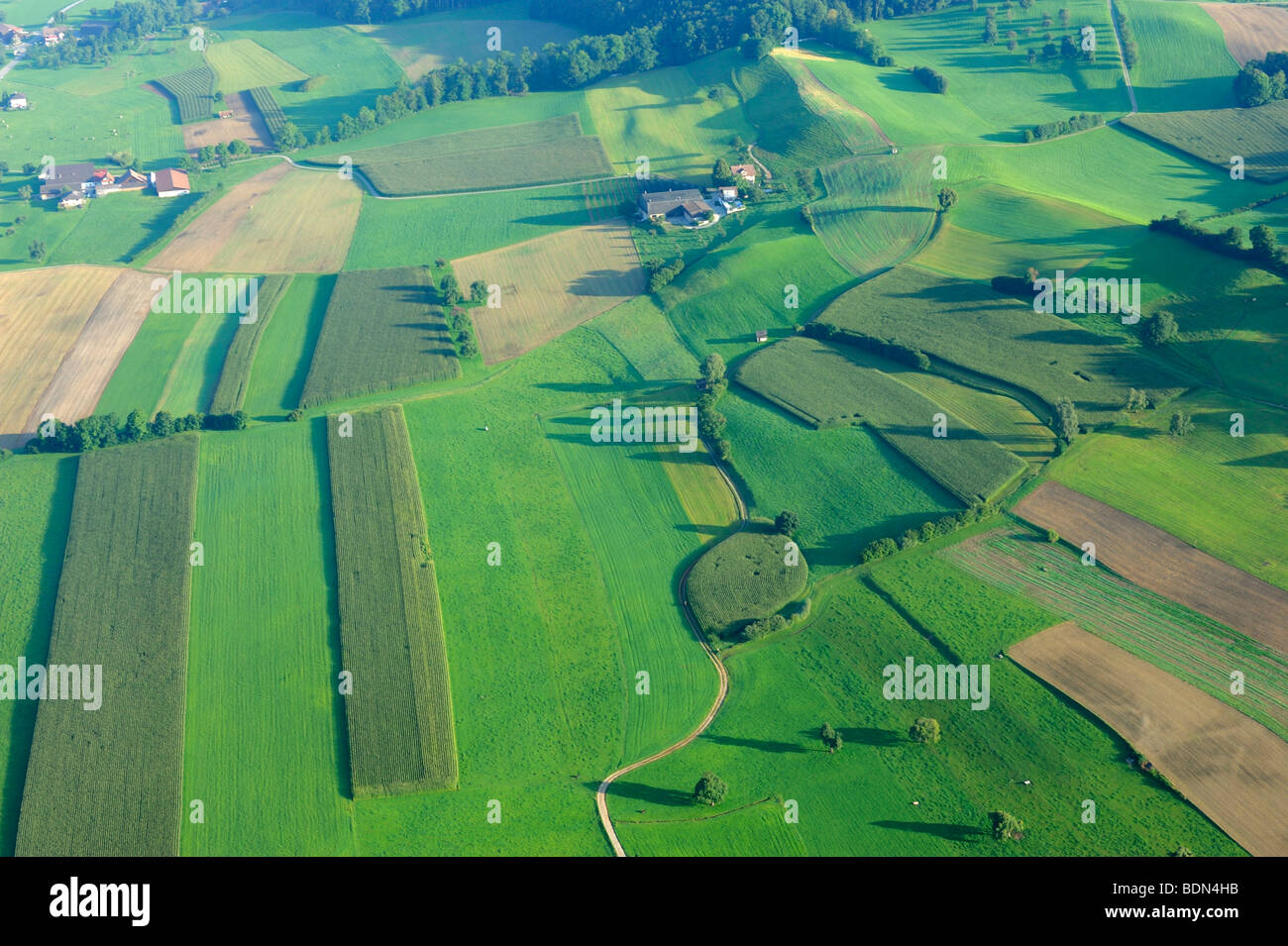 Farmland from the air in the Lucerne Lake Valley, Hochdorf, Switzerland, Europe Stock Photo