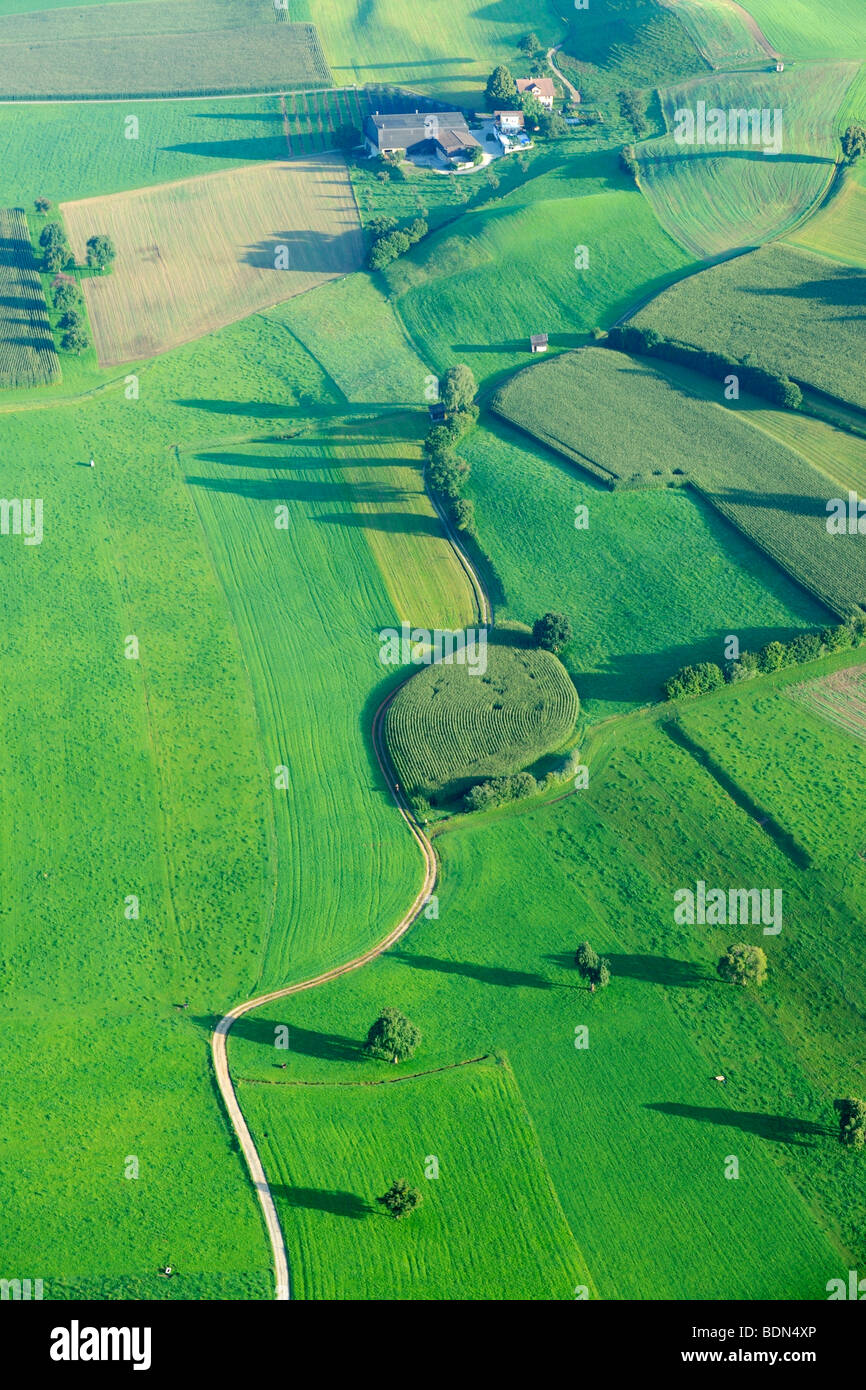 Farmland from the air in the Lucerne Lake Valley, Hochdorf, Switzerland, Europe Stock Photo