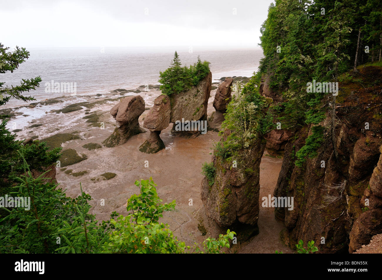 Flower Pot sea stacks Lovers Arch and Bear Rock at low tide at Hopewell Rocks Bay of Fundy New Brunswick Stock Photo