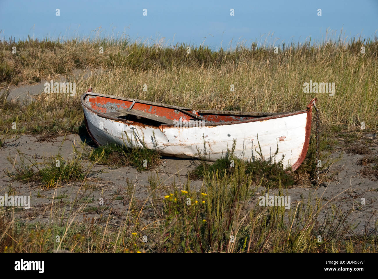 abandoned old double ended rusting metal row boat beached on a grassy dune in Fort Worden State Park Port Townsend  Washington Stock Photo