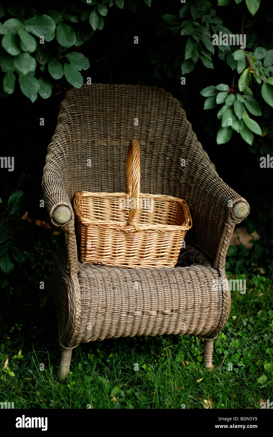 Wicker chair and basket under tree Stock Photo Alamy