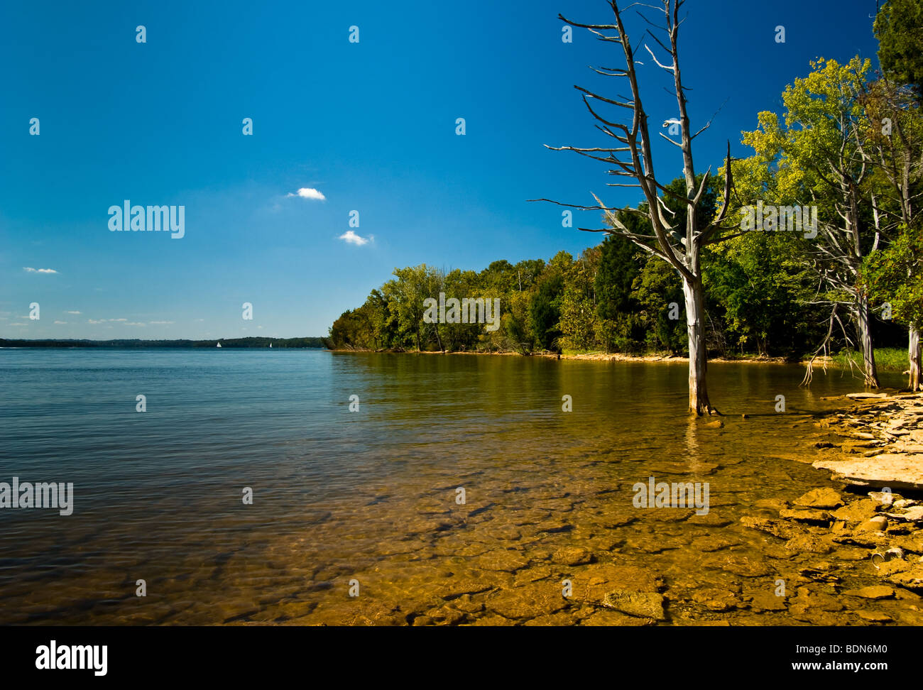 Percy Priest Lake Stock Photos & Percy Priest Lake Stock Images ...