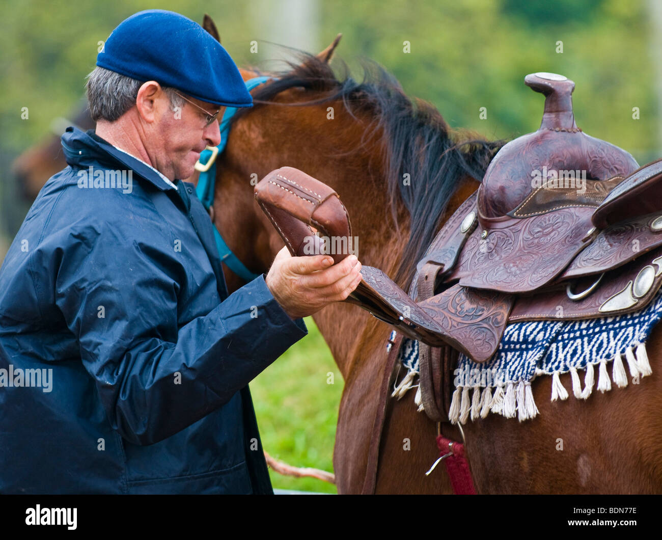 Rio Grande do Sul saddle gaucho crioulo horse fleece brown brownish lasso  rs rio grande do sul travel brazil animal mammal Stock Photo - Alamy