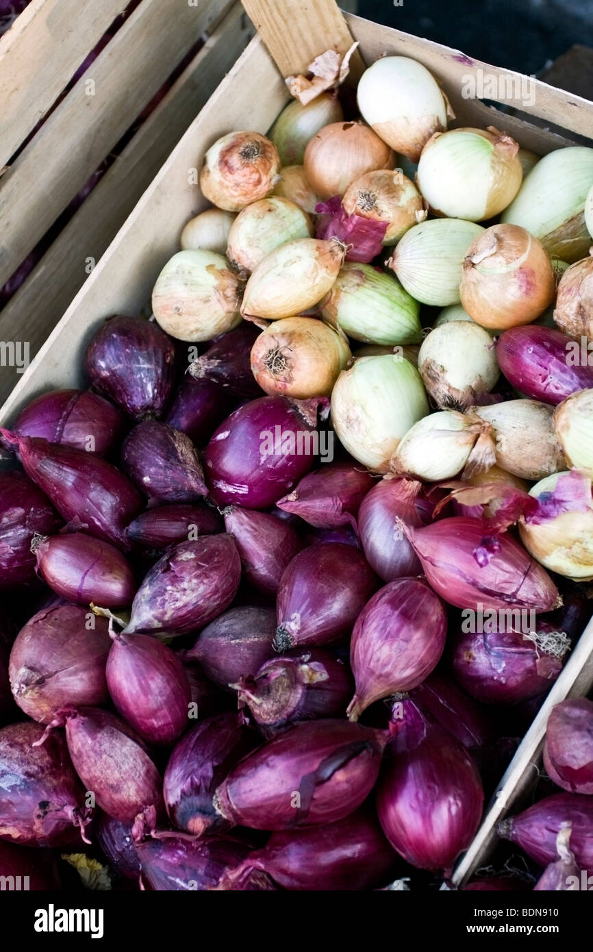 Red onion of Tropea in a wood tray, IGP caratteristic food of Calabria, South of Italy Stock Photo