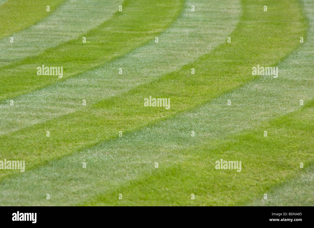 Stripes in newly mown lawn Stock Photo Alamy