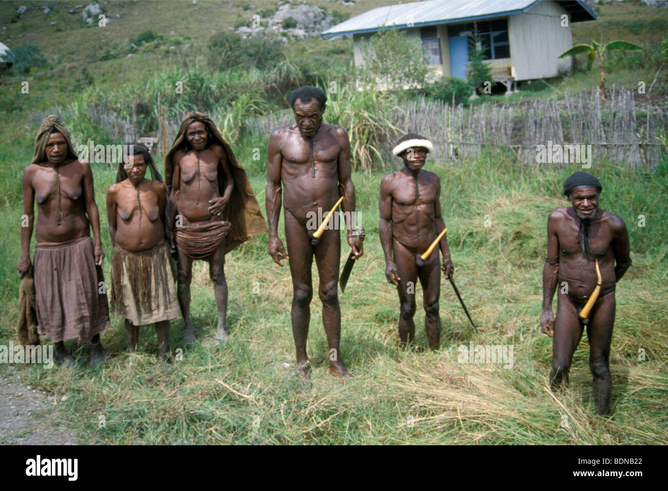 indonesia, irian jaya Stock Photo