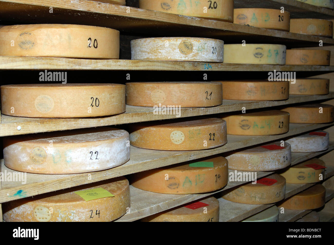 Wheels of Swiss alp cheese in storehouse of a traditional dairy, Switzerland, Europe Stock Photo