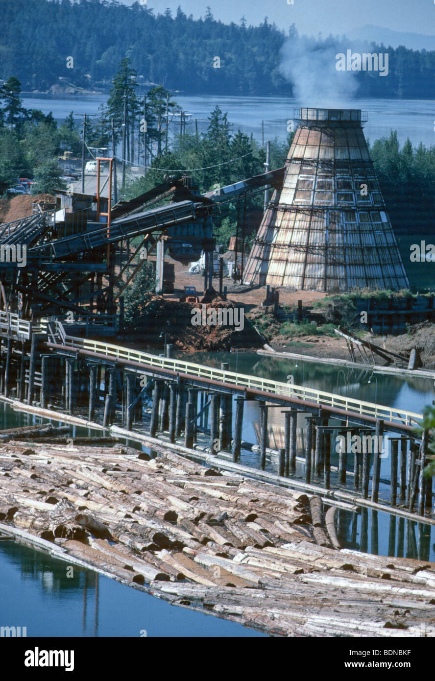 Lumber mill in British Columbia, Stanley River Stock Photo Alamy