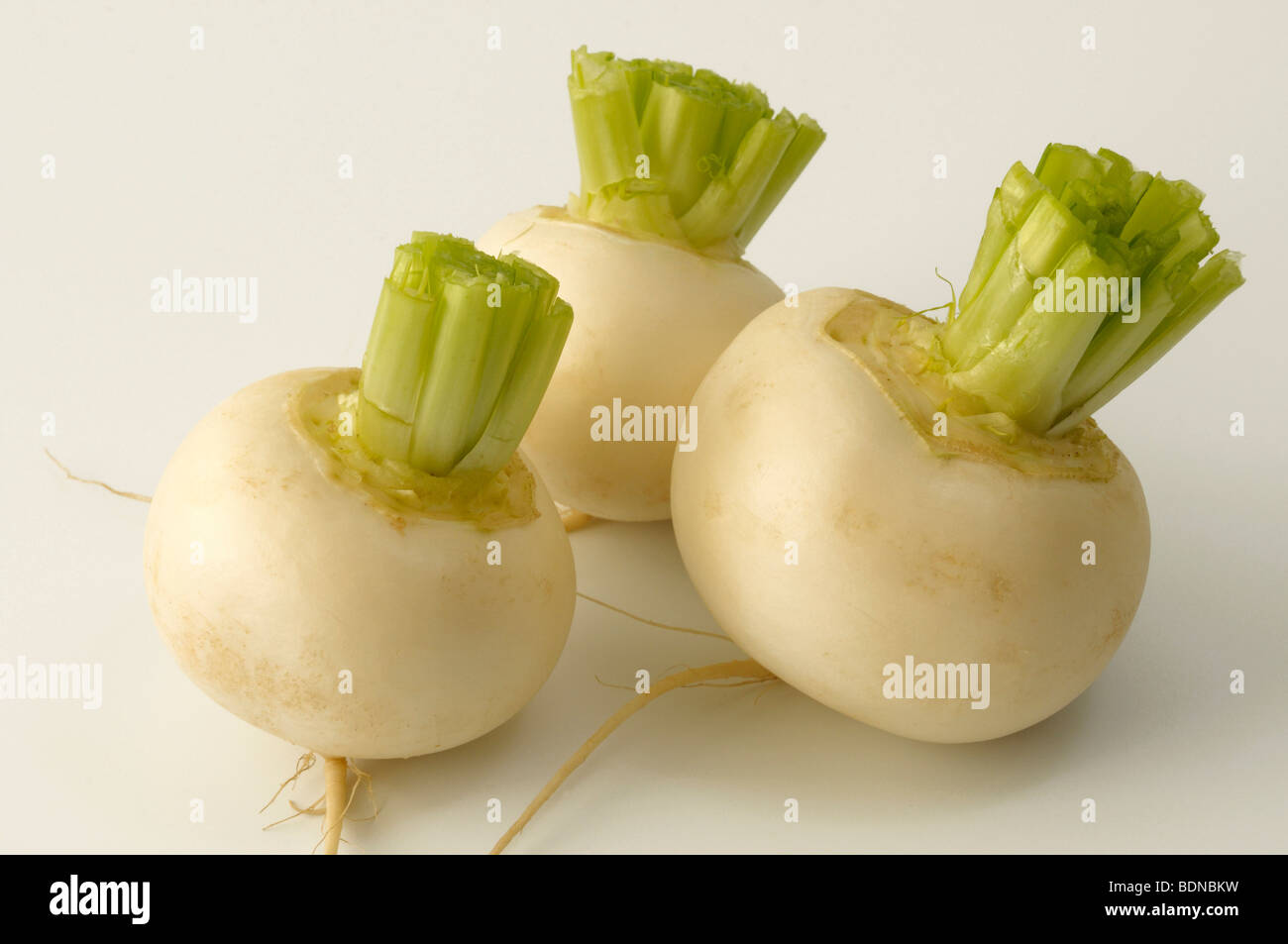 White Turnip (Brassica rapa var.rapa majalis), beets, studio picture. Stock Photo