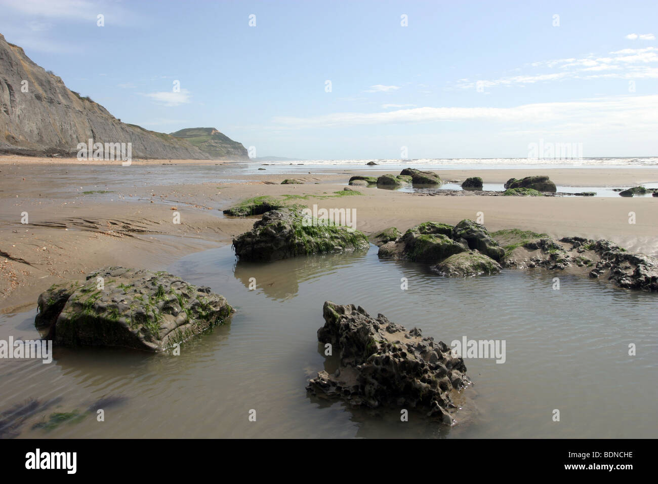 Rock pools at Charmouth beach, Dorset, England Stock Photo