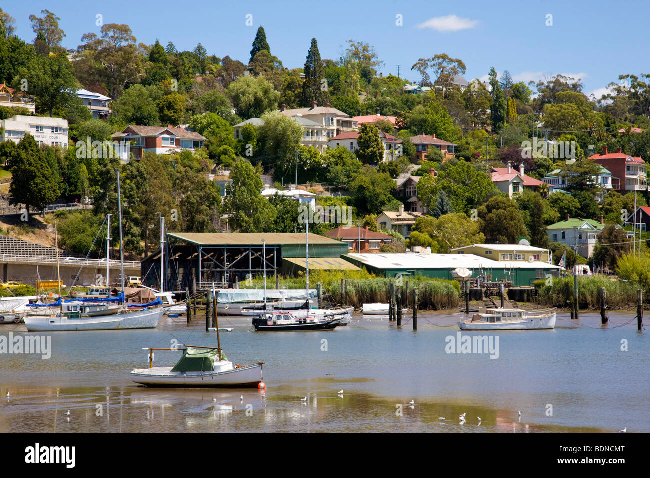 Boats on the River Tamar Launceston, Tasmania Australia, from Kings Park Stock Photo