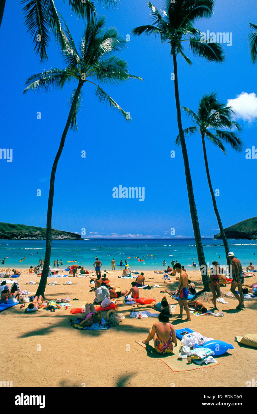hanauma bay hawaii Stock Photo Alamy