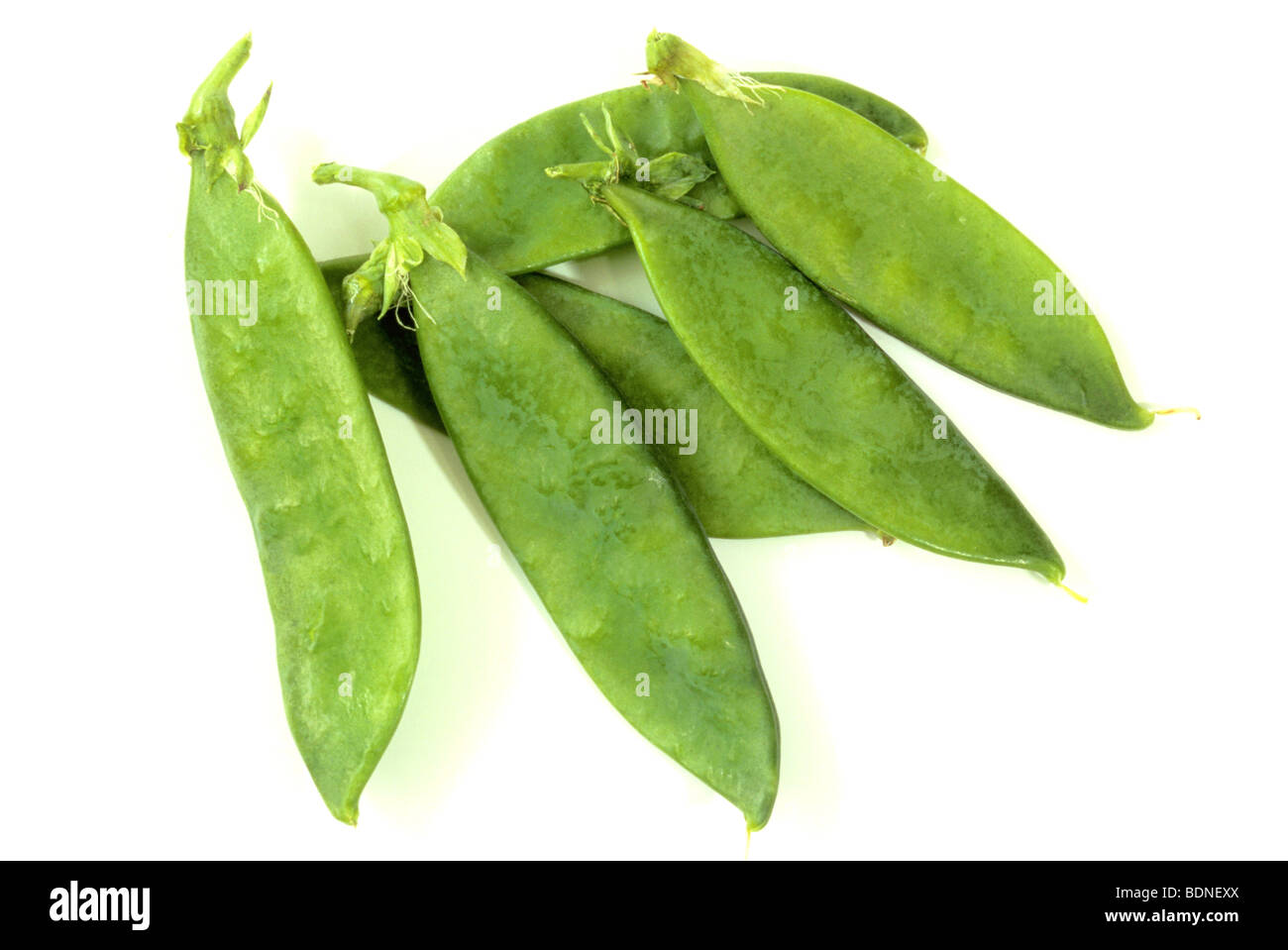 Pea, Garden Pea (Pisum sativum var. saccharatum), pods, studio picture. Stock Photo