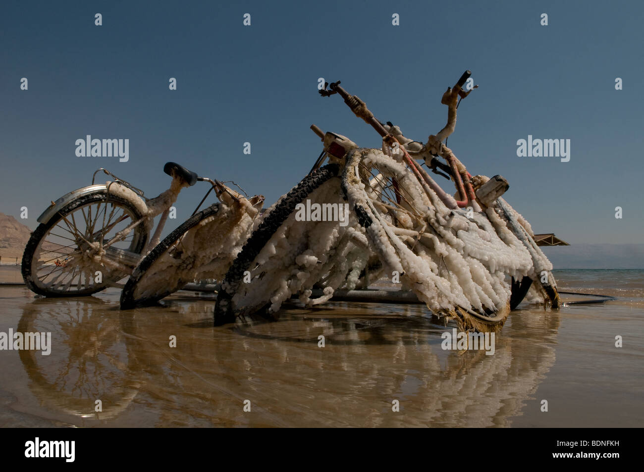 Forgotten bicycles encrusted with halite salt evaporated from Dead Sea in the coast of Ein Gedi Israel Stock Photo