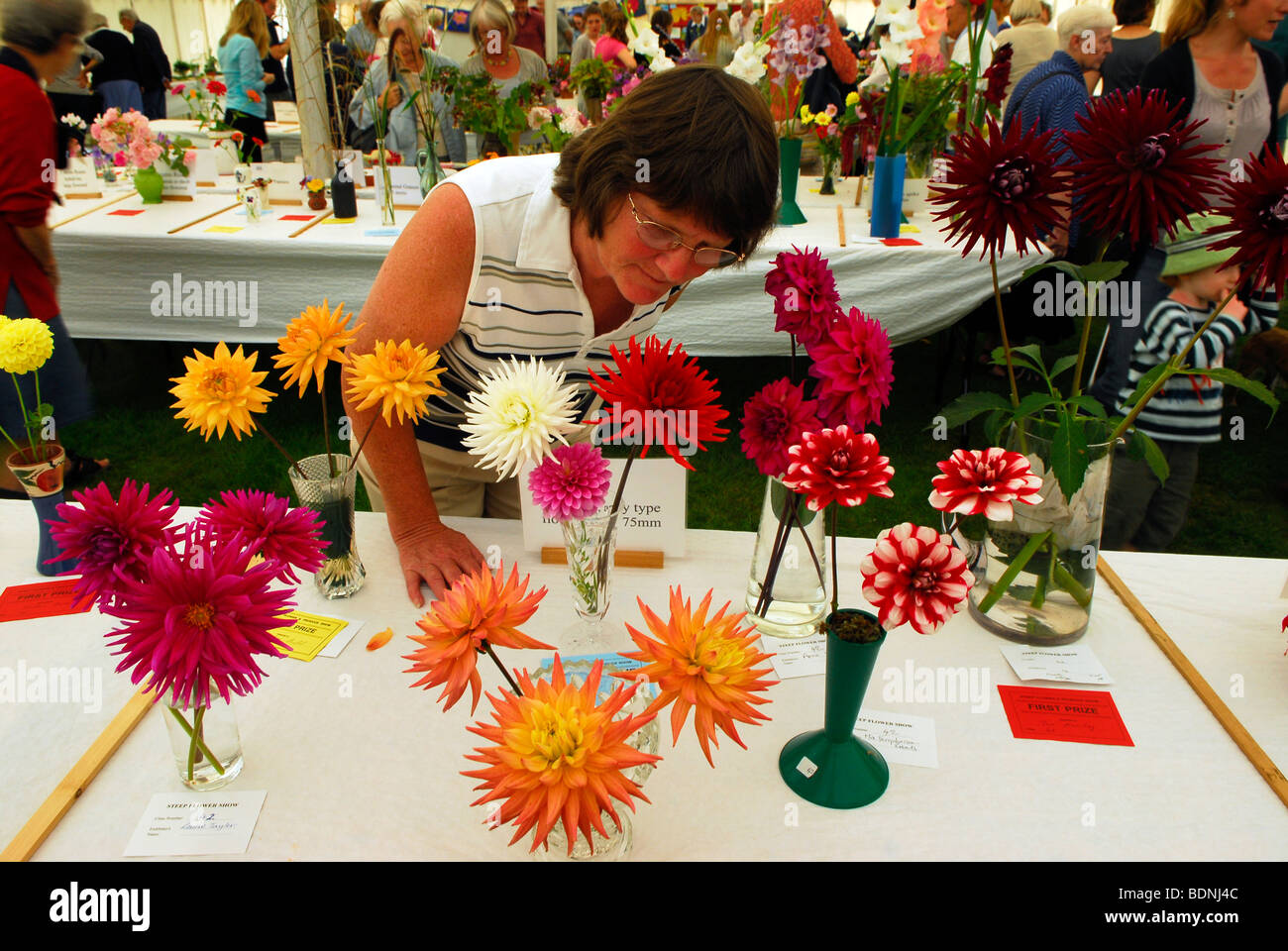 Visitor to Steep Flower Show admiring the Dahlia's on display, Steep