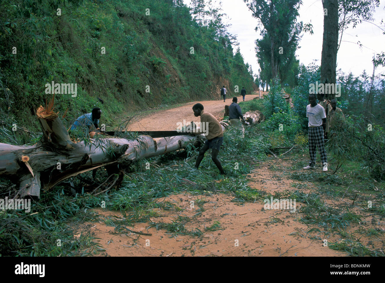 kenya, daily life Stock Photo Alamy