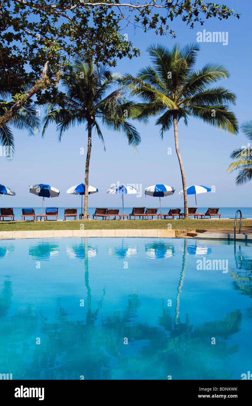 Pool, palm trees, water reflection, Similana Resort, Pak Weeb Beach, Khao Lak, Andaman Sea, Thailand, Asia Stock Photo