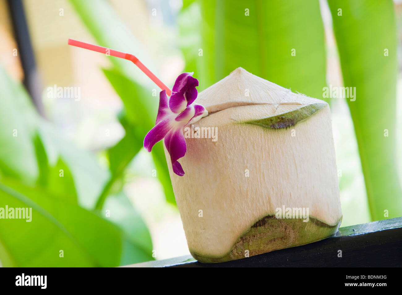 Coconut drink, Khao Lak, Thailand, Asia Stock Photo