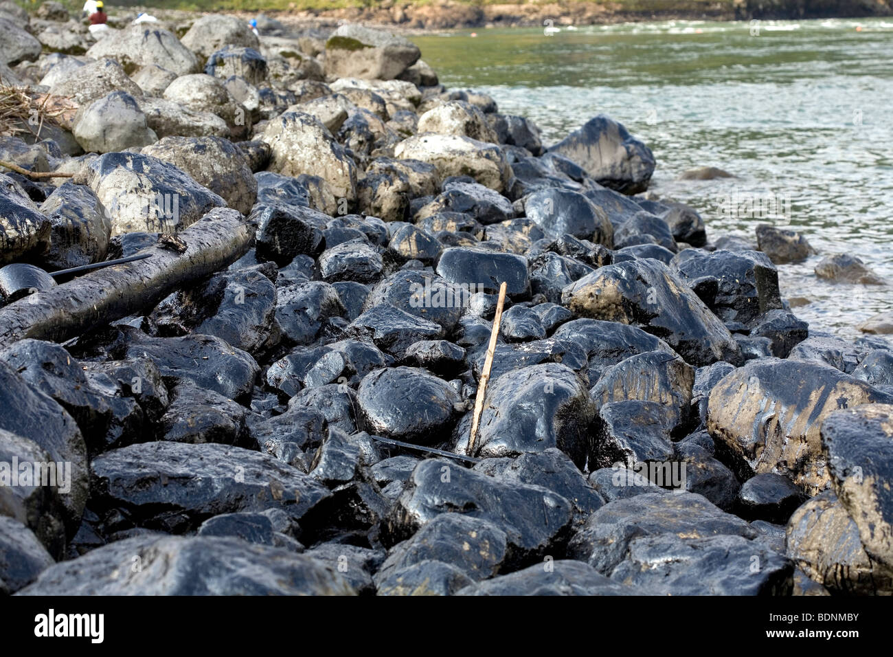 Oiled rocks at the edge of an Amazonian river after an oil spill Stock
