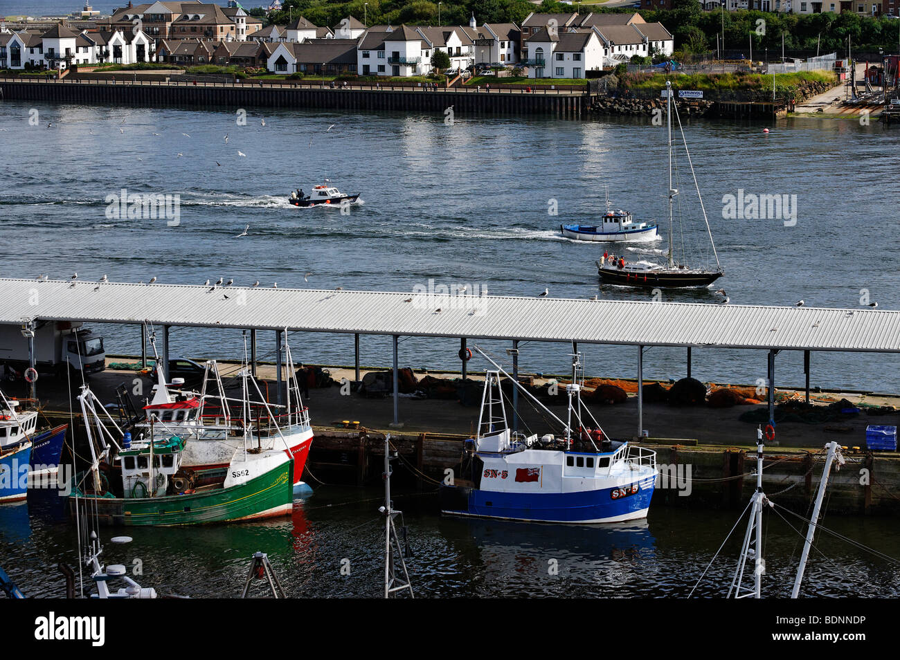South shields harbour hires stock photography and images Alamy