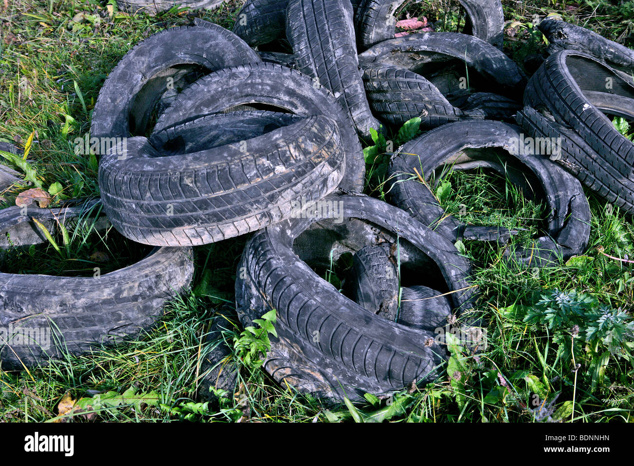 Old car tires in the landscape, environmental sin Stock Photo