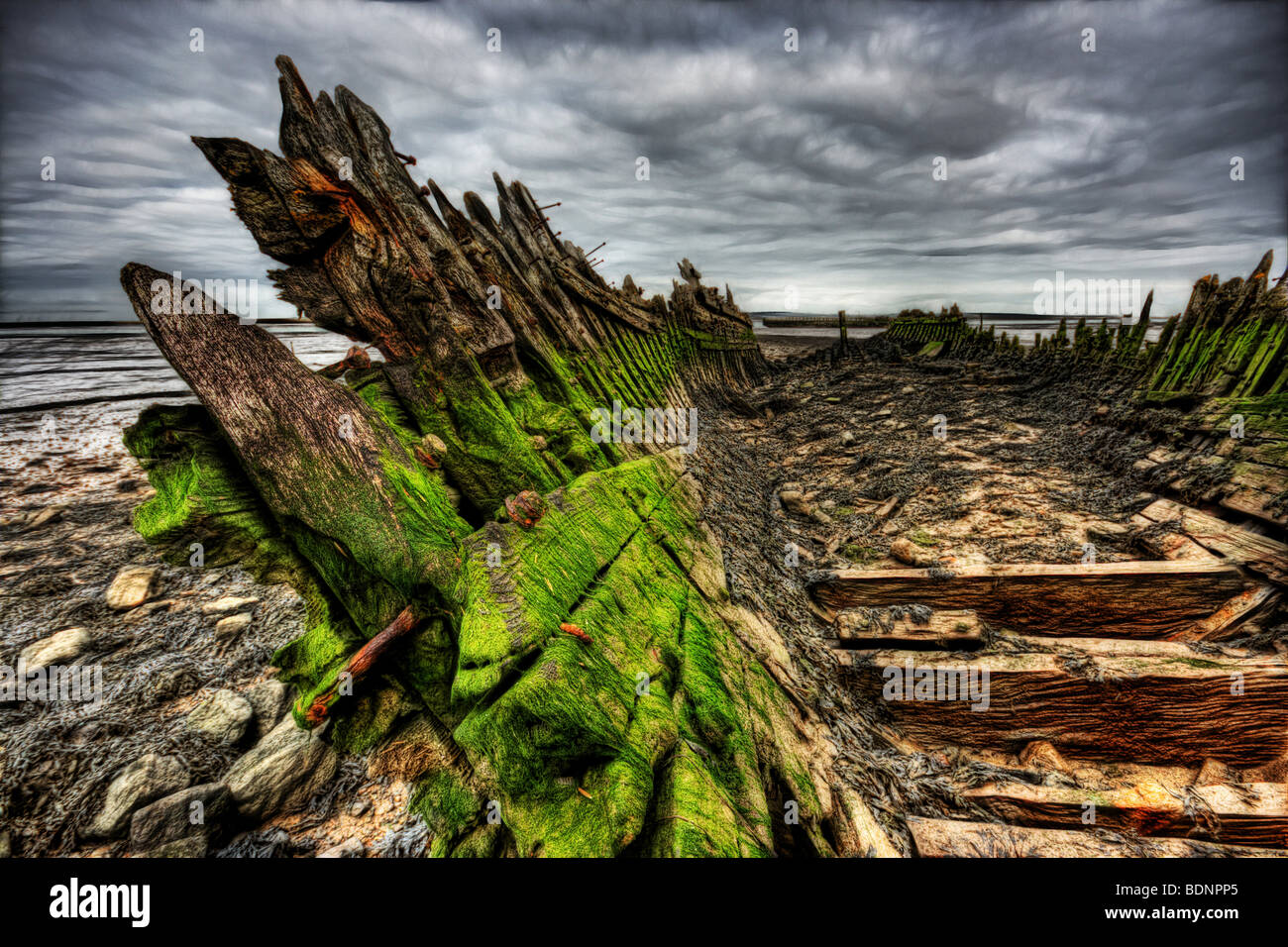 Green algea build up and rotting wood and nails on an old abandoned boat wreck beached in mud on the river swale Stock Photo