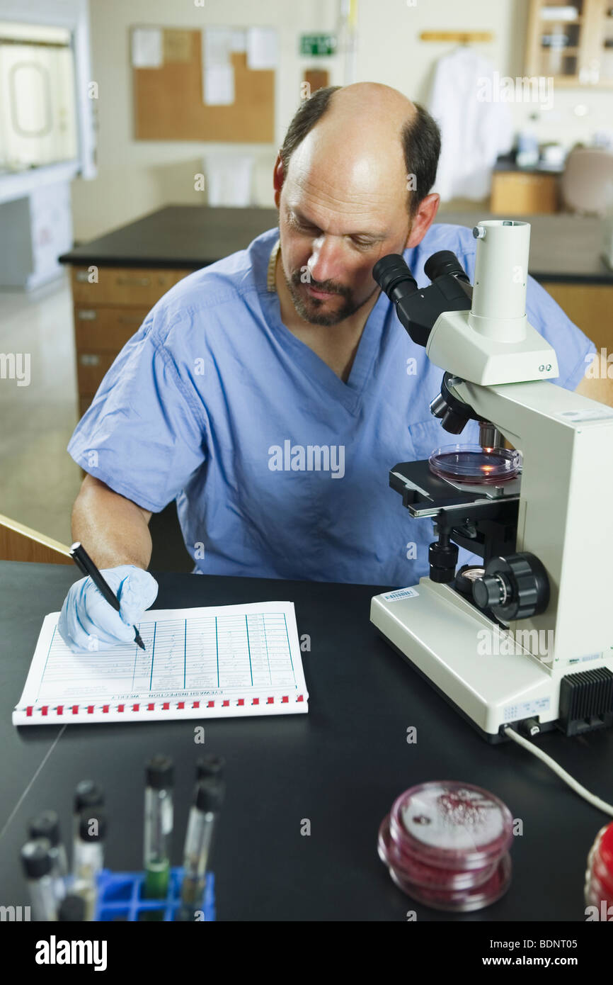 Scientist writing experimental data in a data sheet Stock Photo - Alamy
