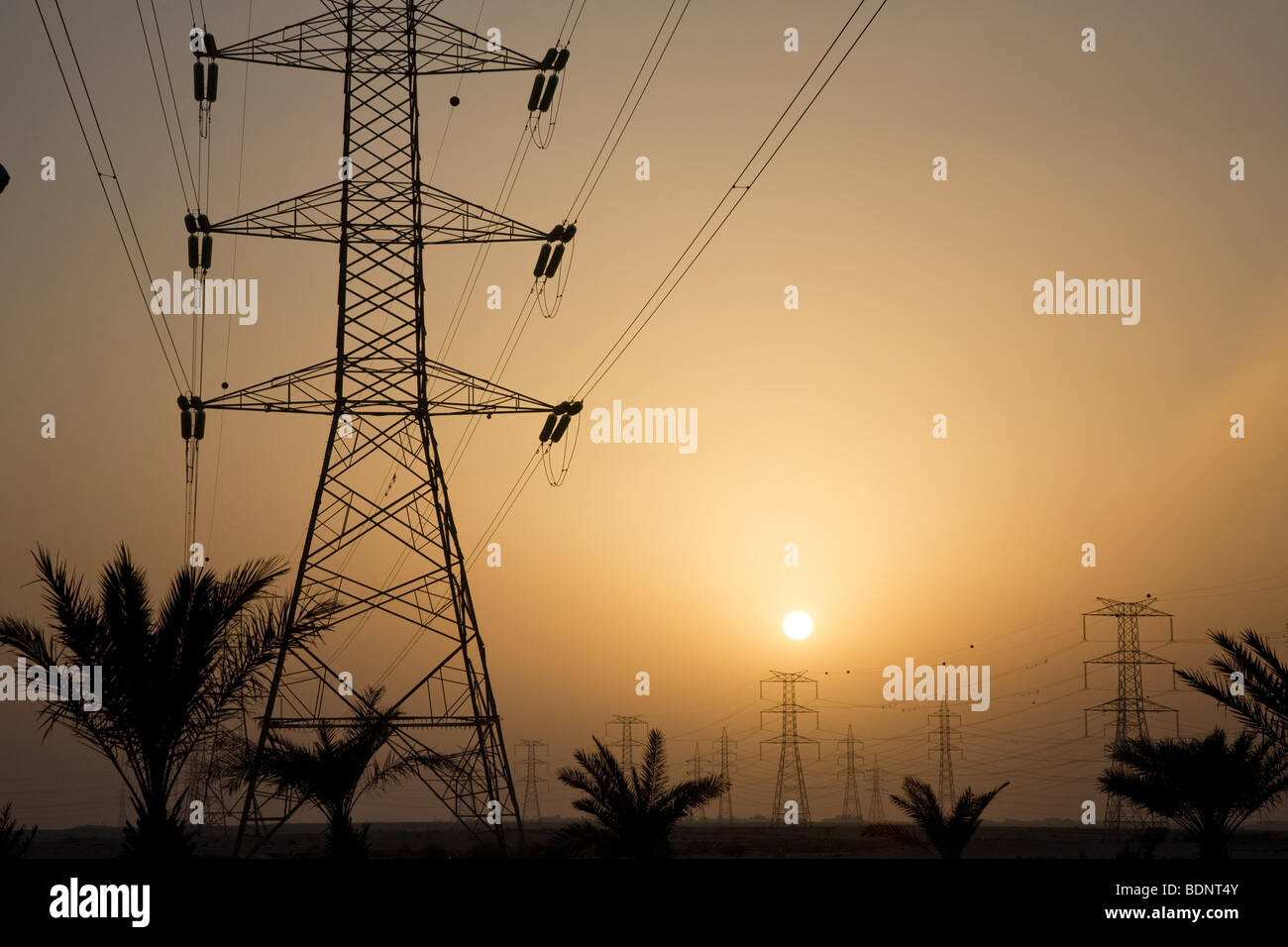 Qatar transmission line power cables electricity Stock Photo Alamy