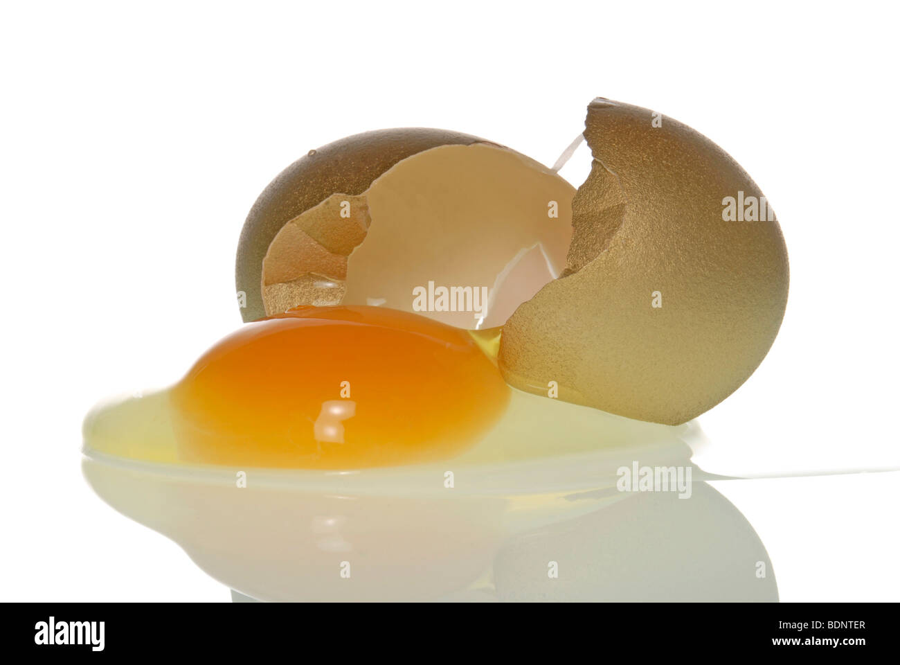 Broken golden egg, symbolic image icon for a bad idea Stock Photo