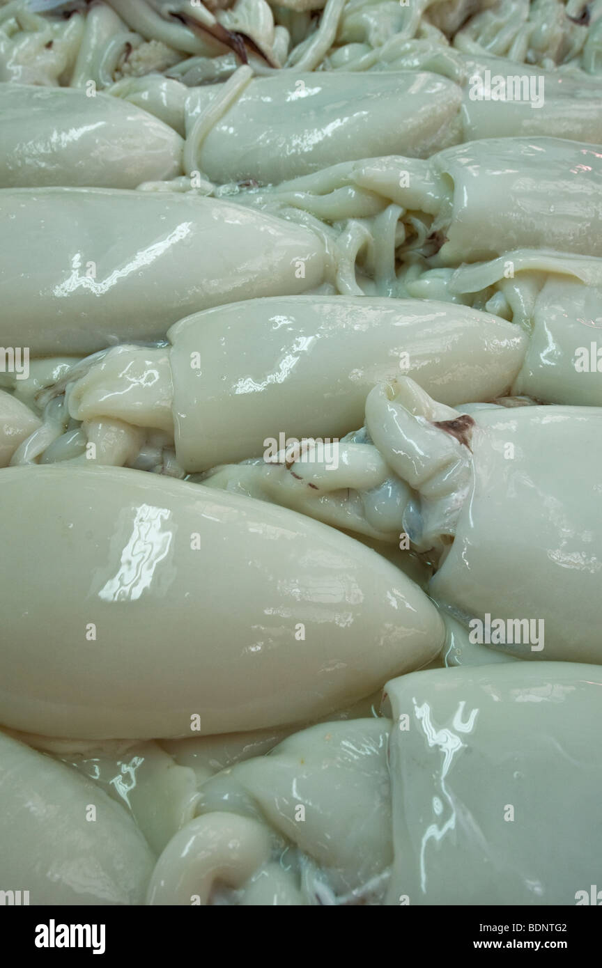Squid for sale at a Spanish market Stock Photo - Alamy