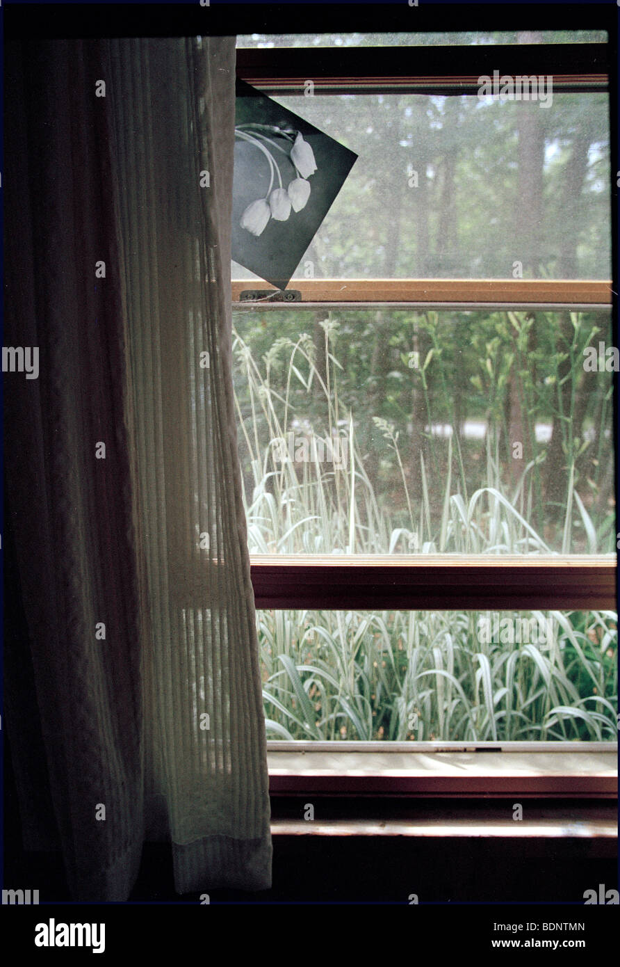 The view through a window Stock Photo - Alamy