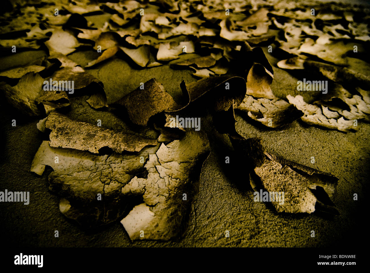Gold Flake High Resolution Stock Photography and Images Alamy