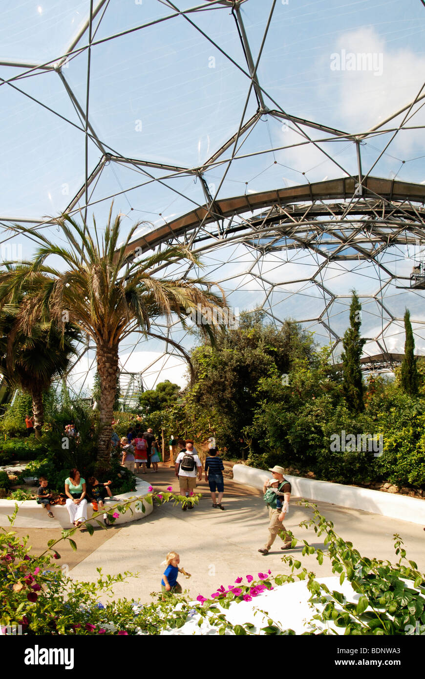 inside of the warm temperate biome at the eden project in cornwall, uk Stock Photo