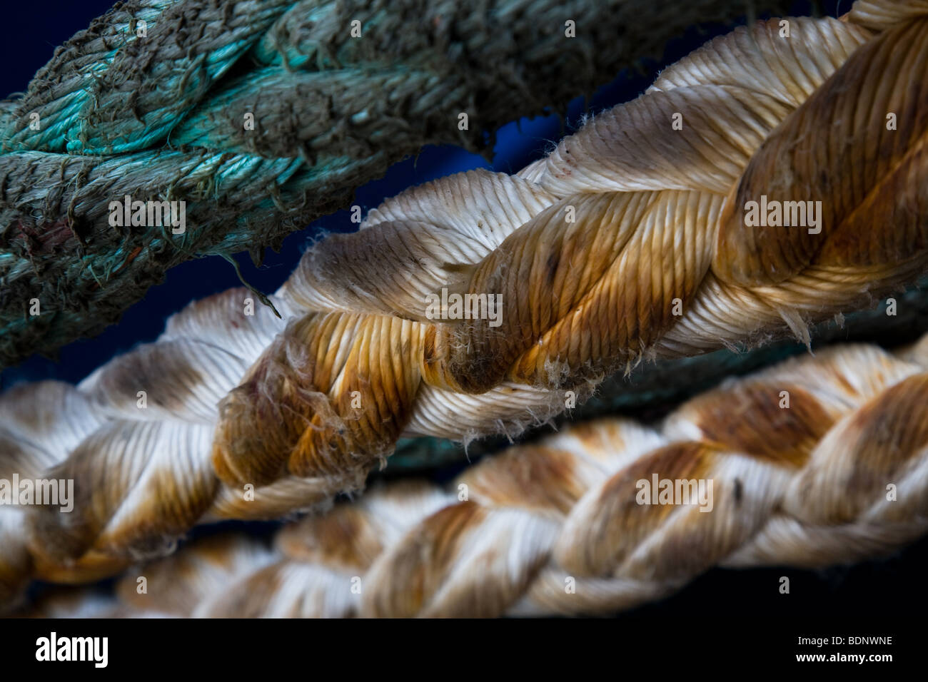 Ship guy rope mooring ropes quayside graphic Stock Photo - Alamy